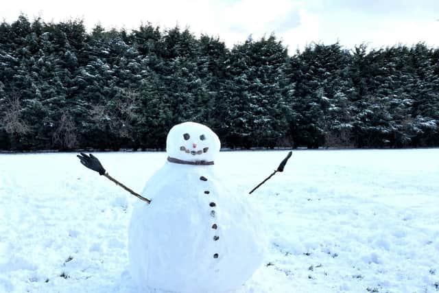 This picture of a snowman was taken in Skegness by Jim Hardaker.