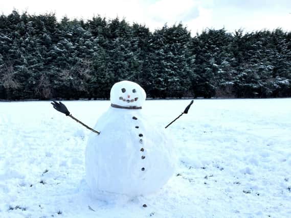 This picture of a snowman was taken in Skegness by Jim Hardaker.