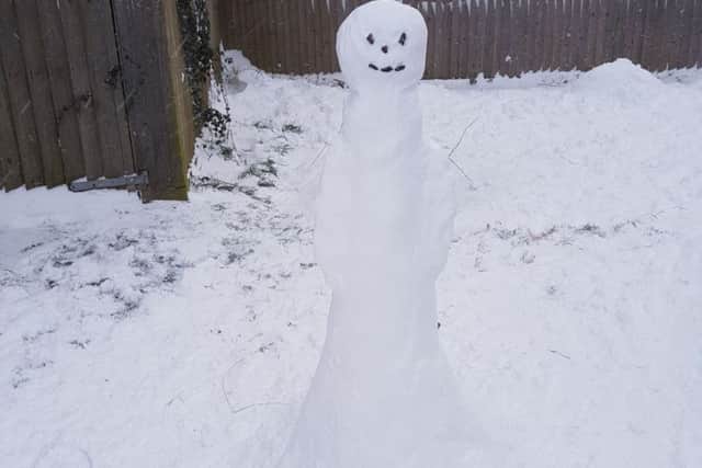 Claire Richardson of Wainfleet  couldn't  stop laughing when she looked outside and saw what had happened to her snowman. ANL-180203-123602001