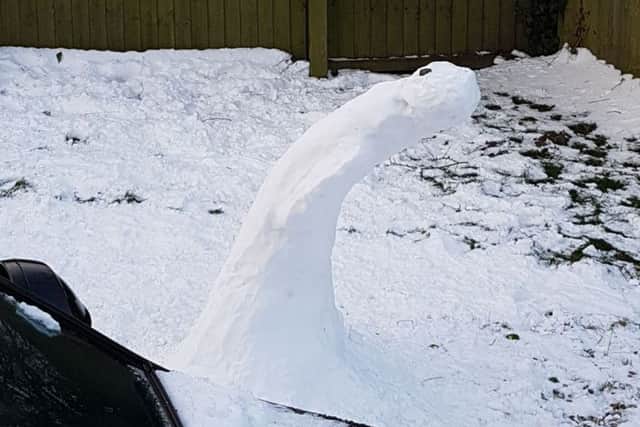 Claire Richardson of Wainfleet said: "I'm surprised its head remained. Looks like it was bracing itself!" ANL-180203-123617001