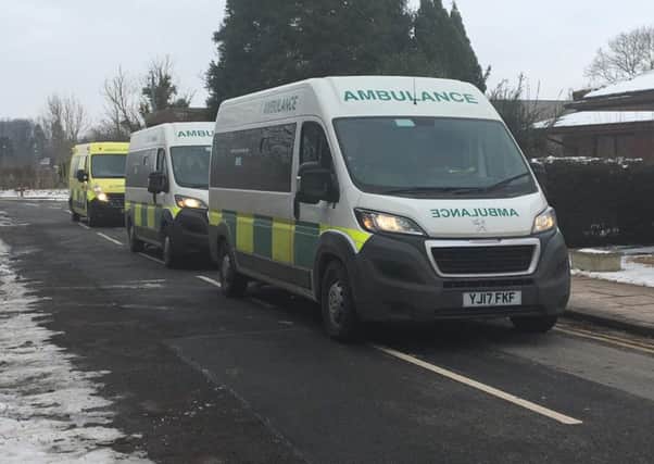 Ambulances line up ready to transport patients.