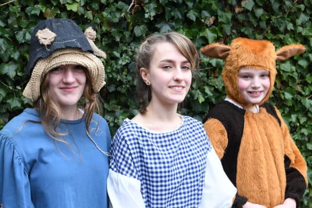 The Wizard of Oz is coming to Sleaford Playhouse next week, courtesy of Sleaford New Youth Theatre Juniors and Seniors. EMN-180903-133926001