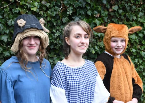 The Wizard of Oz is coming to Sleaford Playhouse next week, courtesy of Sleaford New Youth Theatre Juniors and Seniors. EMN-180903-133926001