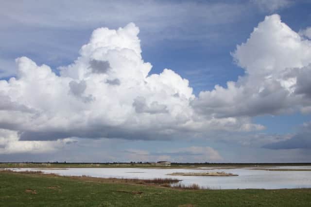 RSPB Frampton Marsh. Picture: Neil Smith. EMN-180903-105054001