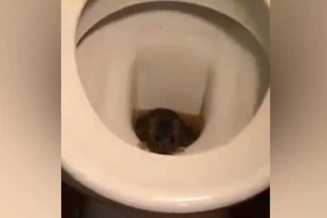 A still from the video allegedly shot at The Folly