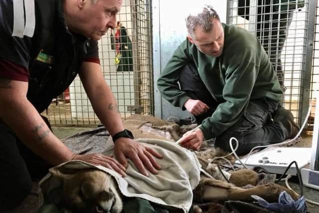 Nigel during his treatment.