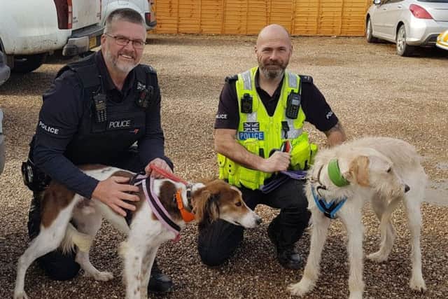 Lincolnshire Police have found loving homes for two lurchers Lucky and Spencer who were seiized during an incident of hare coursing. ANL-180314-075711001