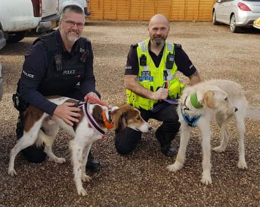 Lincolnshire Police have found loving homes for two lurchers Lucky and Spencer who were seiized during an incident of hare coursing. ANL-180314-075711001