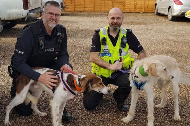 Seized lurchers Lucky and Spencer with officers from Lincolnshire Police's Operation Galileo. They have now been rehomed. EMN-180314-092529001