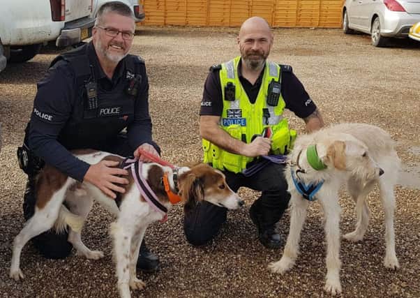 Seized lurchers Lucky and Spencer with officers from Lincolnshire Police's Operation Galileo. They have now been rehomed. EMN-180314-092529001