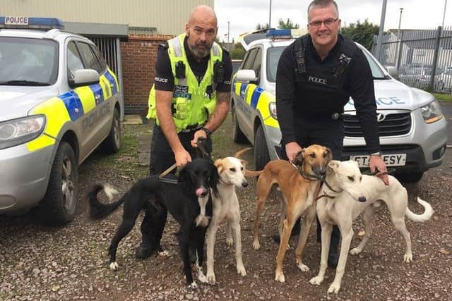 Lincolnshire Police committed to tackling hare coursing in the county. EMN-180314-144718001
