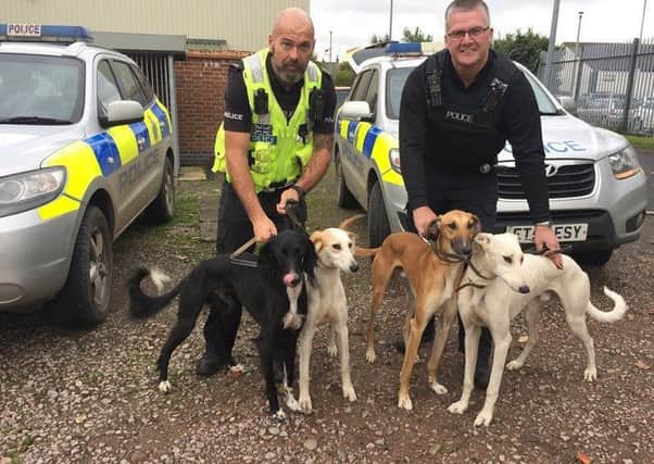 Lincolnshire Police committed to tackling hare coursing in the county. EMN-180314-144718001