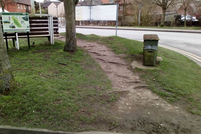 Tree roots are one of the hazards facing pedestrians at the entry to the busy Bain car park.