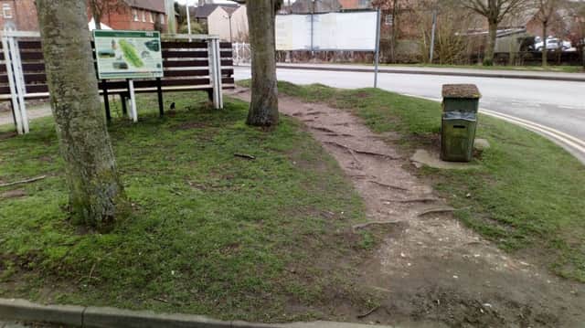Tree roots are one of the hazards facing pedestrians at the entry to the  busy Bain car park.