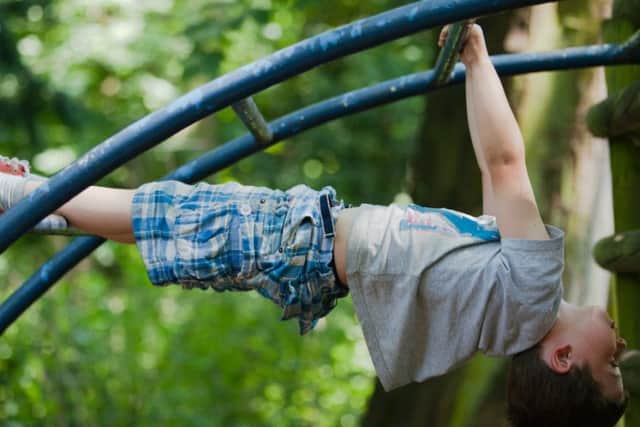 Get ready to celebrate the 40th birthday of Belton House's outdoor playground. EMN-180320-165905001