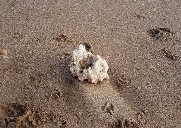 Deposits of the waxy substance was found on East Lincolnshire beaches.