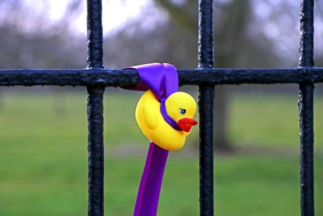 Have a quack-ing time at Gunby Hall - keep a look out for yellow ducklings to claim your chocolate prize. EMN-180323-110045001