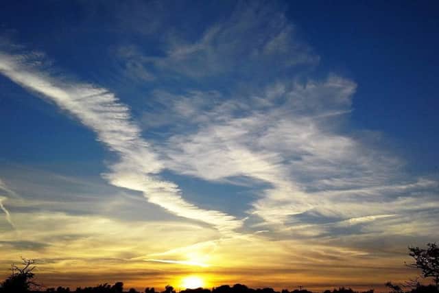 A beautiful skyline will be one of the many pieces on display.