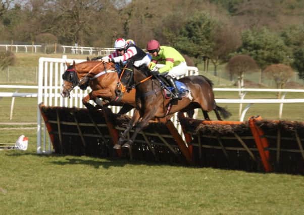 Local horse Spenda Jennie leads the field over a hurdle before fading in the Class 5 Hurdle EMN-180328-170726002