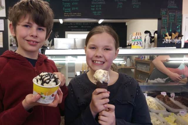 Larna, 9,  and  Jay, 12,  Pennell of Louth at Farmer Browns Ice Cream and Coffee Shop in Huttoft. ANL-180329-105037001