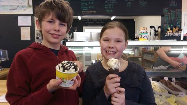 Larna, 9,  and  Jay, 12,  Pennell of Louth at Farmer Browns Ice Cream and Coffee Shop in Huttoft. ANL-180329-105037001