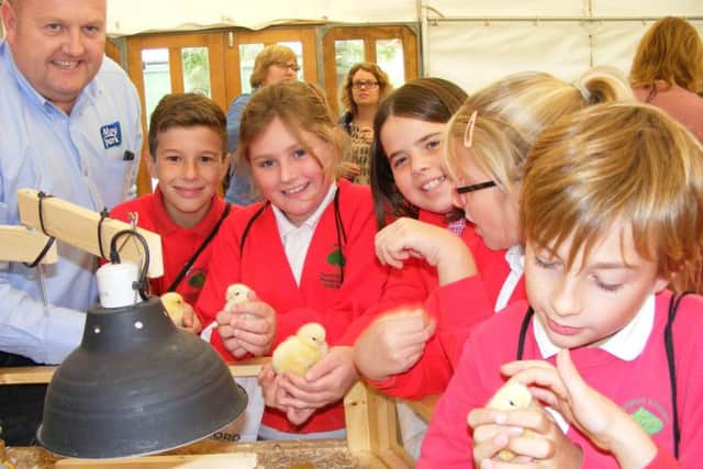 Paul Asman of Moy Park lets pupils from Chestnut Street School in Ruskington handle new chicks at a previous Made In Sleaford event two years ago. EMN-180304-155159001