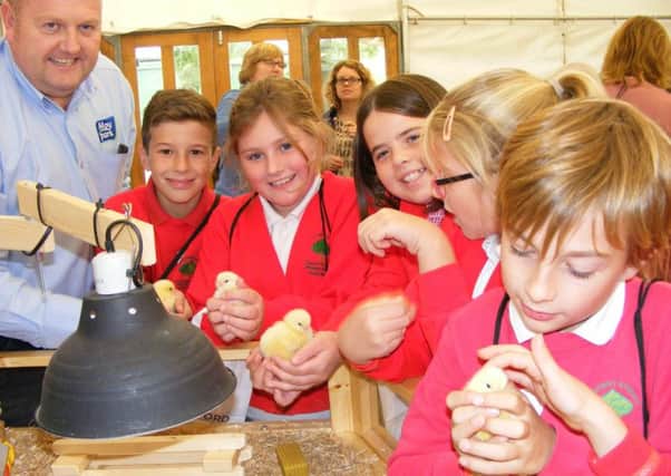 Paul Asman of Moy Park lets pupils from Chestnut Street School in Ruskington handle new chicks at a previous Made In Sleaford event two years ago. EMN-180304-155159001
