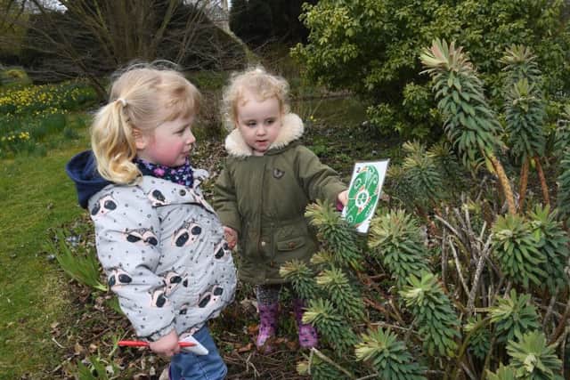 Easter Egg Hunt at Rauceby Hall, with access to the lambing sheds and daffodil gardens. L-R Emilia Sibbet 2 and Emily-Rose Little 2 of Sleaford. EMN-180204-090751001