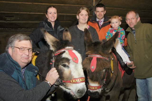 Considering weight limits on donkey rides 10 years ago.