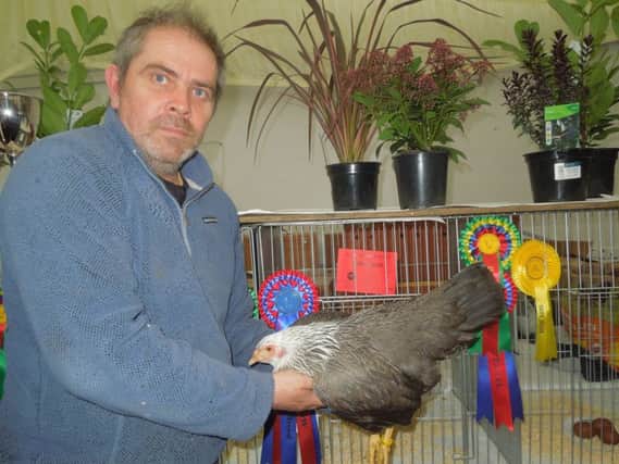 Ian Maguire, from Lincoln, won Best Rare Breed with his female Kraenkoppe. EMN-180904-142406001