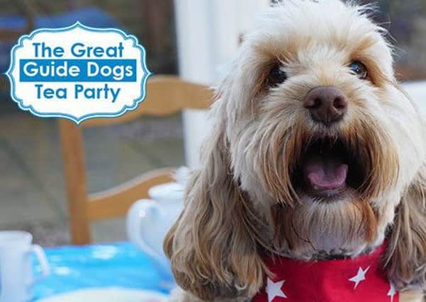 A promotional image for the national Great Guide Dogs Tea Party campaign.