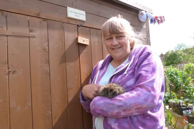 Laurie Fox who runs Caistor Hedgehog Care (photo by Linda Oxley) EMN-181004-172719001