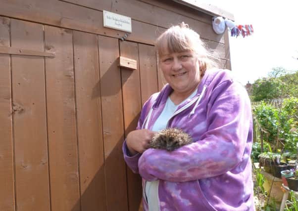 Laurie Fox who runs Caistor Hedgehog Care (photo by Linda Oxley) EMN-181004-172719001