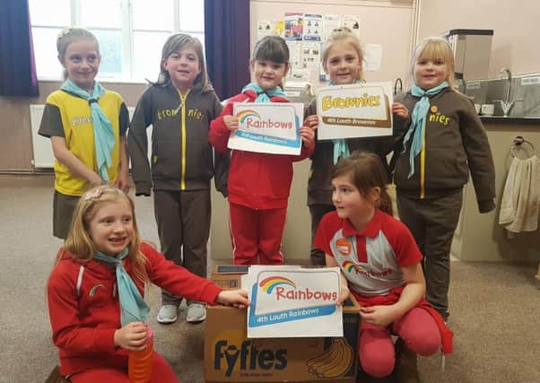 Louth Brownies and Rainbows have been busy helping towards a good cause.