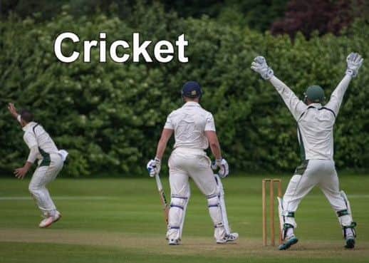 Cricket.