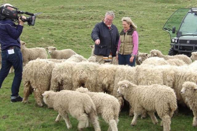 Louise Fairburn welcomes Philip Serrell to the Risby Lincoln Longwool flock as they film for an edition of Antiques Road trip EMN-180424-092626001