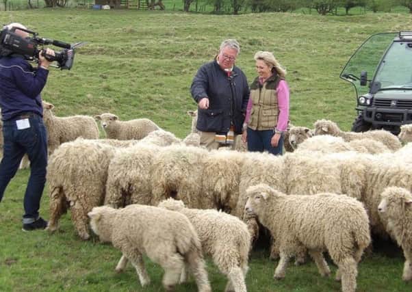 Louise Fairburn welcomes Philip Serrell to the Risby Lincoln Longwool flock as they film for an edition of Antiques Road trip EMN-180424-092626001