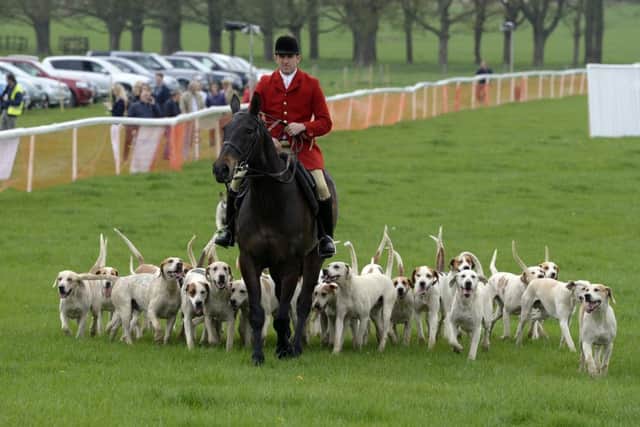 A rider in the South Wold Hunt was joined by his four-legged friends on Saturday. Picture: Sarah Washbourn.