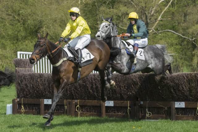 Horses jump over a fence during the second race of the day. Picture: Sarah Washbourn.