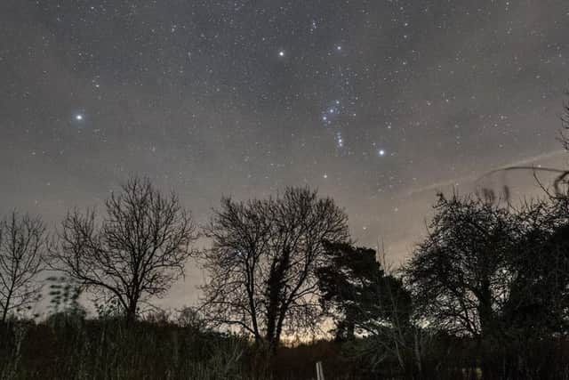 Enjoy summer stargazing event at Chambers Farm Wood, near Wragby. EMN-180425-110101001