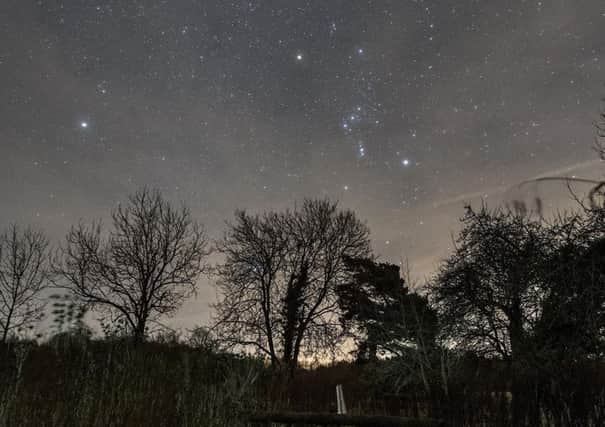 Enjoy summer stargazing event at Chambers Farm Wood, near Wragby. EMN-180425-110101001