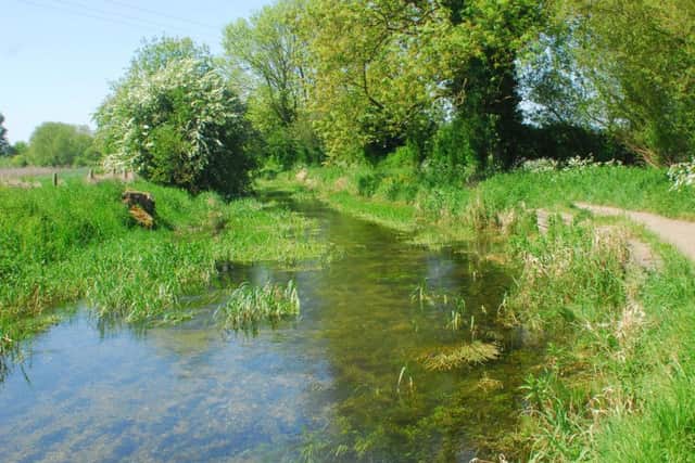 In line for enhancement. The River Slea, close to The Drove. EMN-180515-130134001