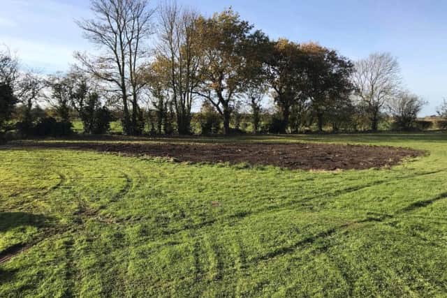 The field where Anderby Rocks is to take place this summer.