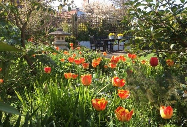 See the beautiful garden at Marigold Cottage this weekend.