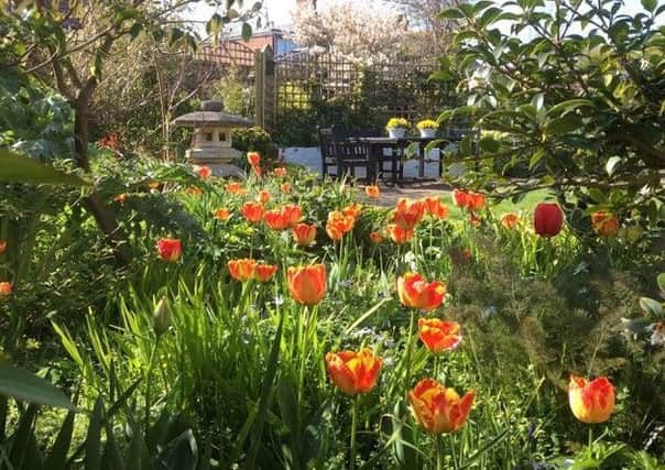 See the beautiful garden at Marigold Cottage this weekend.