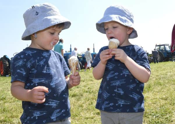 Twins Charlie and Fred Skinner, two, from Woodhal Spa  are pictured enjoying an ice cream at the show.