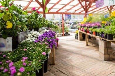Wyevale Garden Centres.