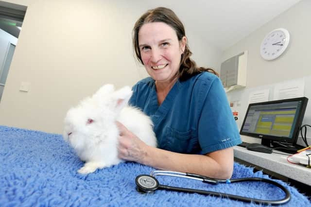 Dr Wendy Adams with a rabbit at Eastfield Vets.