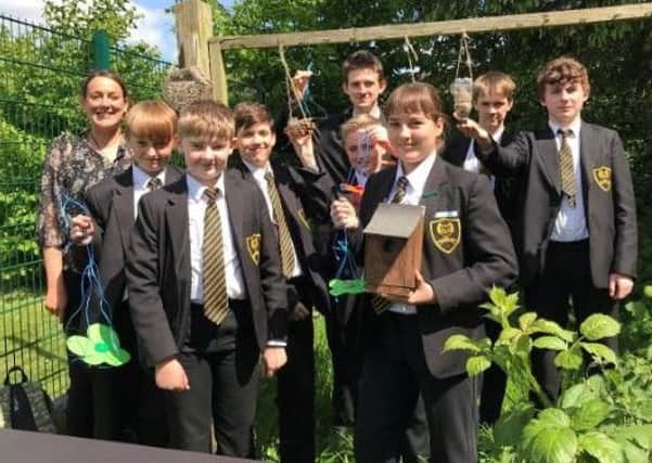 Banovallum School's Science Club have been 'busy bees'.