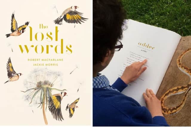 Lincs Wildlife Trust aims to get a copy of the book The Lost Words in every primary and special school across the county. Images supplied.